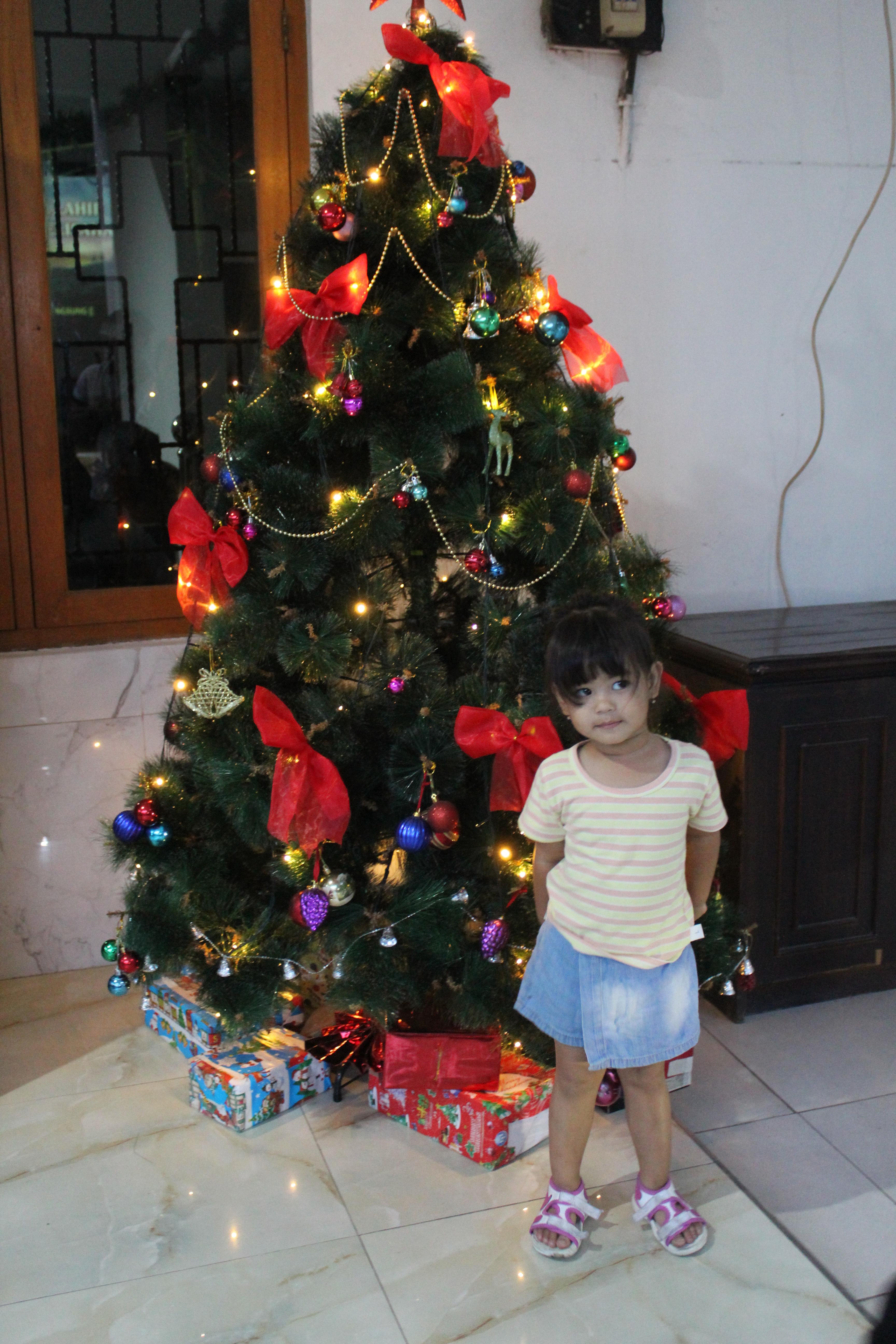 foto_683fa76fe8beb4.34566424.jpg